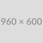 Exclusive New Car Models Unveiled